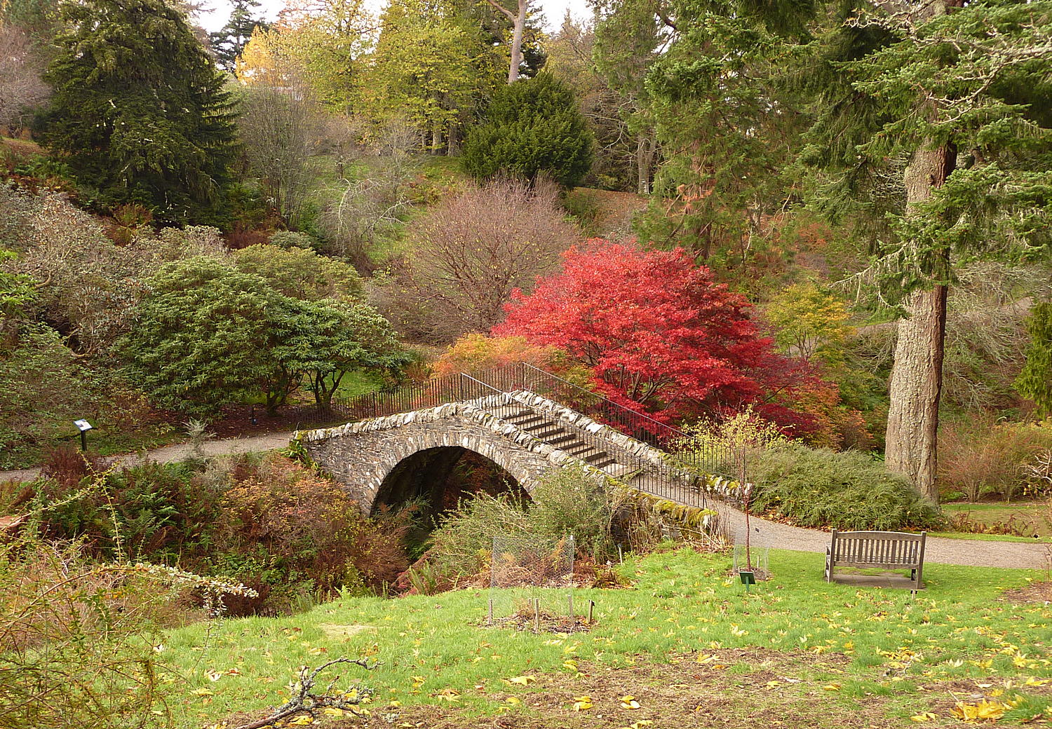 Bridge over burn